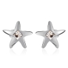 Aretes de Cristal Swarovski Color Blanco en Forma de Estrella