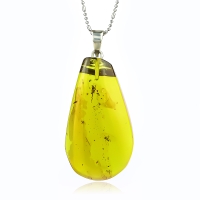 Dije de Ambar Natural Con Hormigas 45 mm x 22 mm