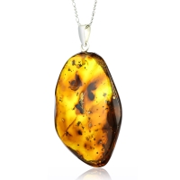 Ambar Genuina Plata de Ley Collar Curativo
