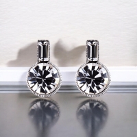 Aretes Cristal Austriaco en Forma de Botella Color Blanco
