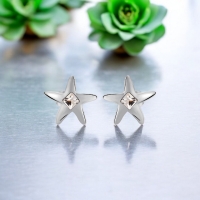 Aretes de Cristal Swarovski Color Blanco en Forma de Estrella