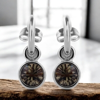 Aretes Redondos de Cristal Austriaco Negro