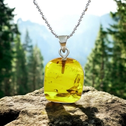 Dije de Ambar Genuina Con Mosquita 24 mm x 15 mm