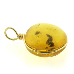 Genuine Amber Ant Pendant