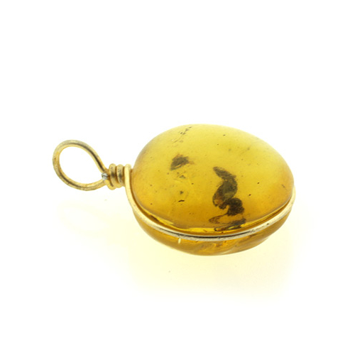 Genuine Amber Ant Pendant