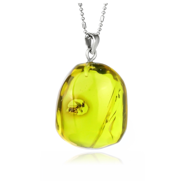 Dije de Ambar Genuina Con Insecto