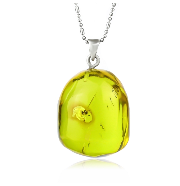 Dije de Ambar Genuina Con Insecto