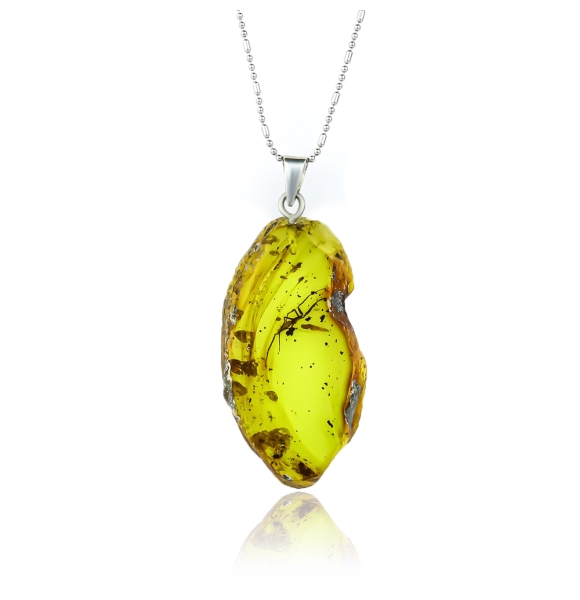 Dije de Ambar Genuina Con Mosquito Adentro