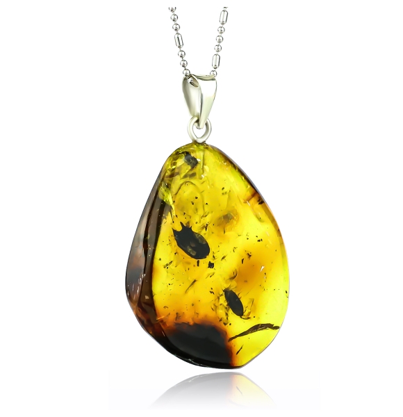 Dije de Ambar Genuina Con Insectos